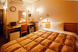 東横ＩＮＮ徳島駅眉山口