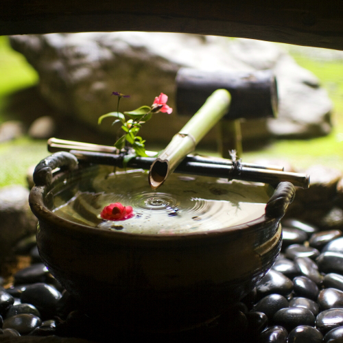 宮津温泉　料理旅館　茶六別館