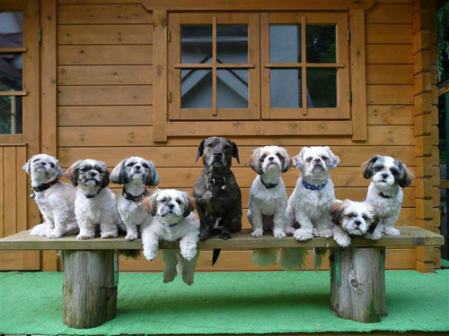 ペンションぴっと