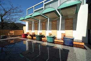 神通峡春日温泉　ゆ〜とりあ越中