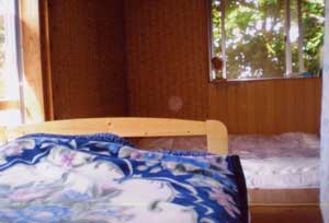 KOURIJIMA ぶどうの樹<古宇利島>