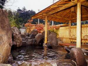 猿ヶ京温泉 ホテル生京園