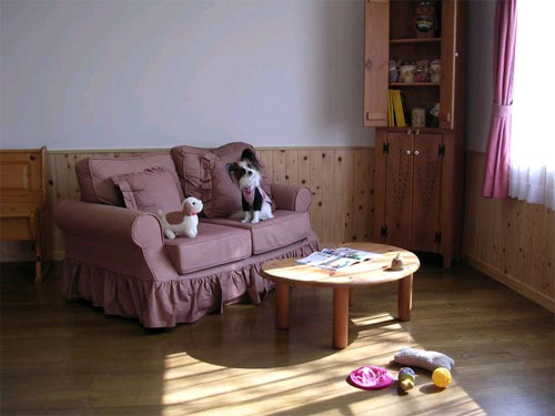 伊東温泉　愛犬と泊まれる宿アップルシード