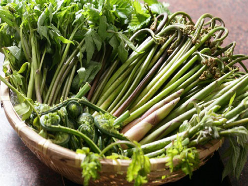 湯川温泉 春山荘 本館