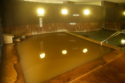 新安比温泉　静流閣