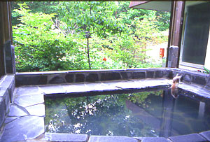 那須温泉　温泉ペンション　１ねん１くみ