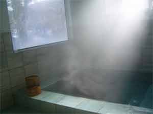 ペンション　コットンテール