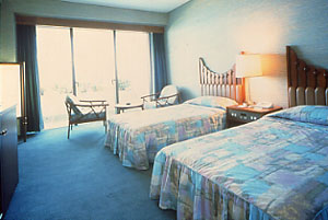 指宿温泉　指宿いわさきホテル