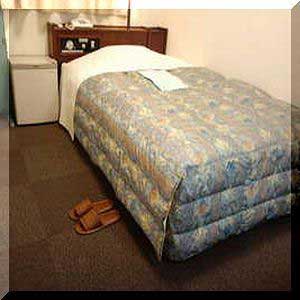 瑞穂イン石見益田(旧:マスダセントラルホテル)