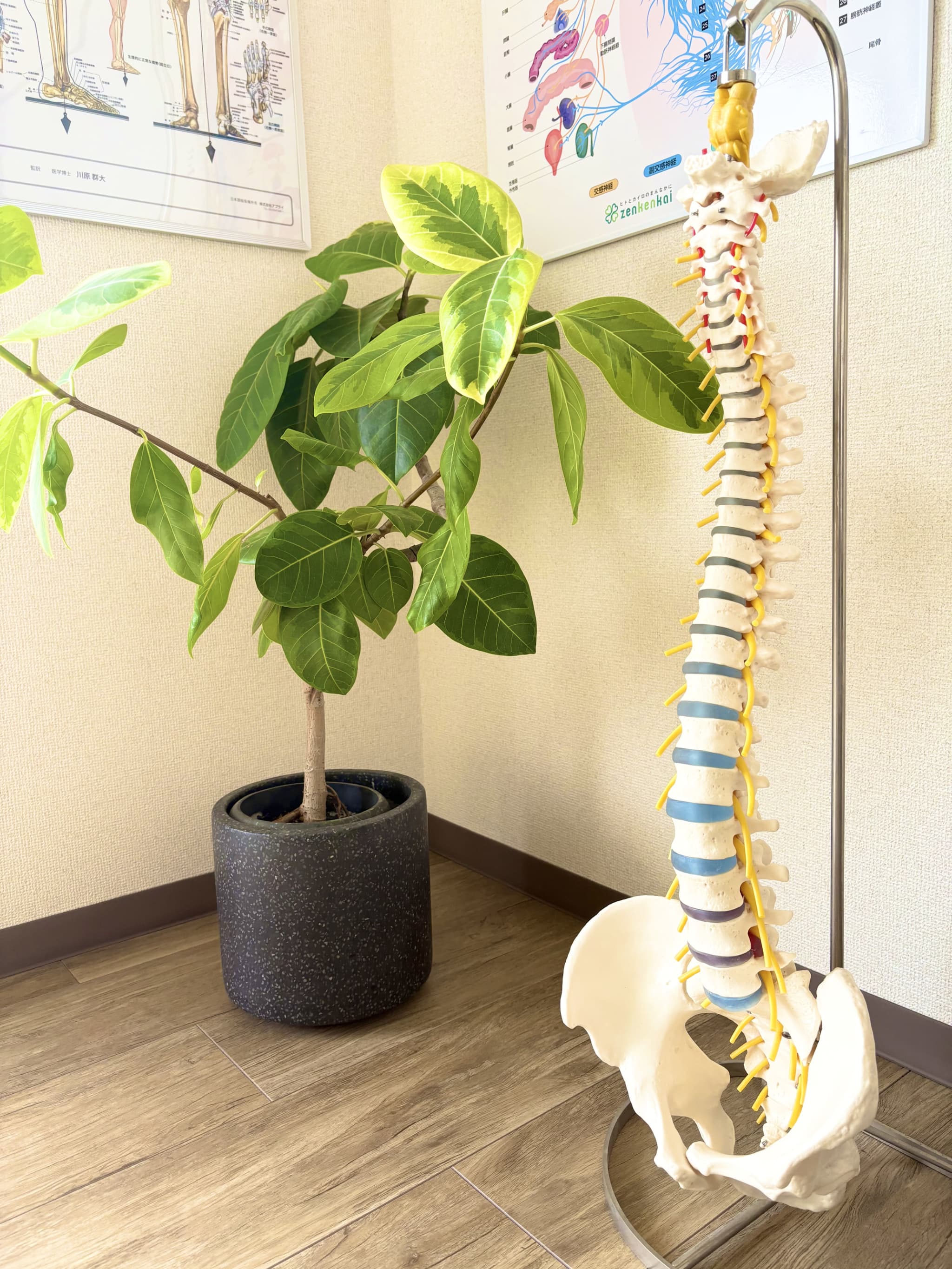 Total Body ＆ Life Care HARENOHI_3